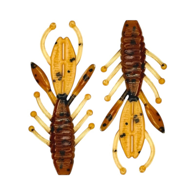 EVO Bug 2”