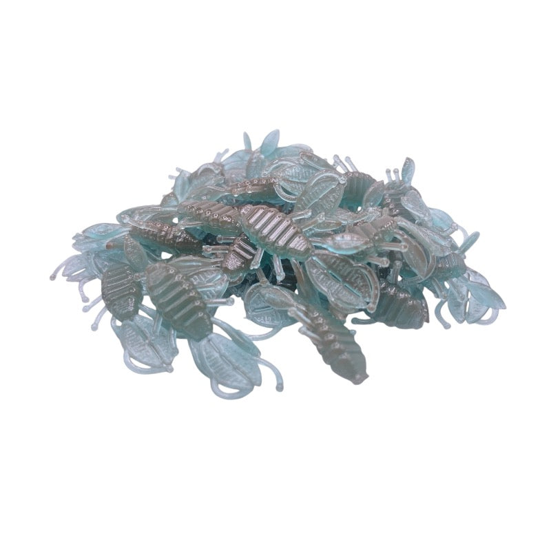 EVO Bug 1.25” - Invinci Core